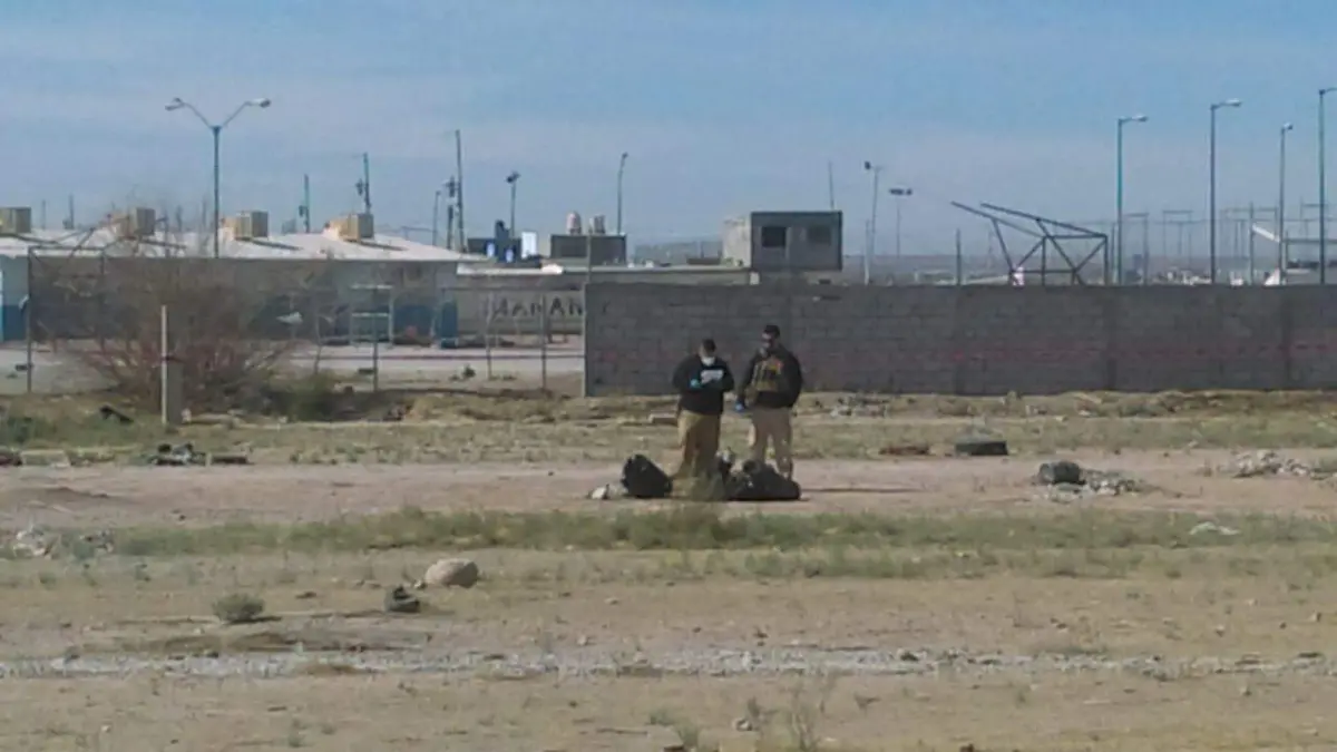 cuerpos encontrados en baldio